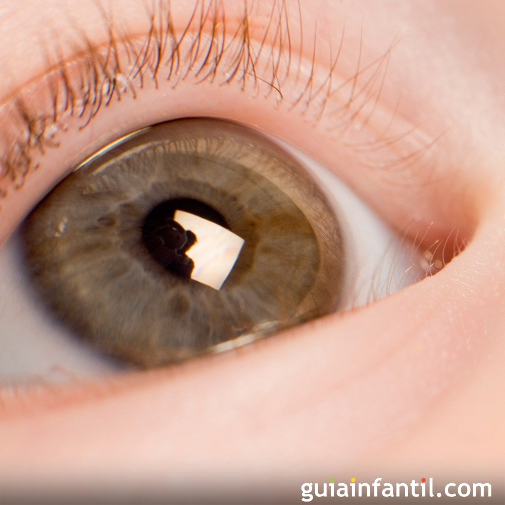 astigmatismo en bebes y ninos que es astigmatismo en bebes y ninos que es
