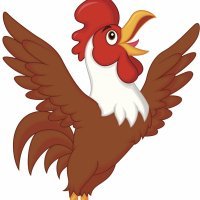 Los gallos cantores. Poesía corta para niños