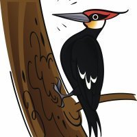 Nicanor. Poesía corta para niños