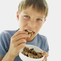 Beneficios de los frutos secos para los niños