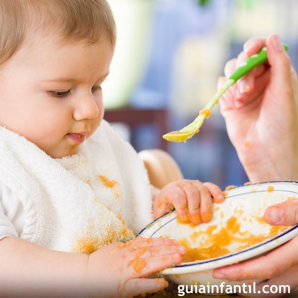 Preparando comida para bebés