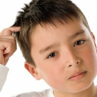 Vídeos sobre piojos y pediculosis
