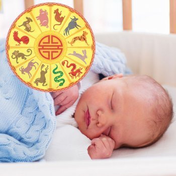 Horóscopo chino para niños y bebés - El perfil de cada signo o animal