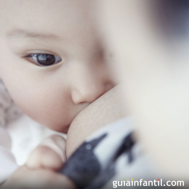 Preguntas Y Respuestas Sobre La Lactancia Materna Reverasite