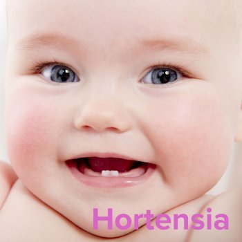 Día de la Santa Hortensia, 11 de enero. Nombres para niñas