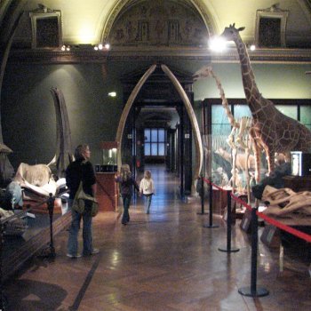 Museos en Praga para niños y familias