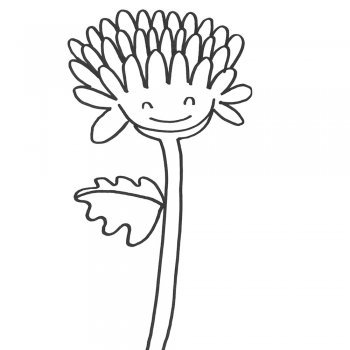 Cómo hacer, paso a paso, un dibujo de un crisantemo