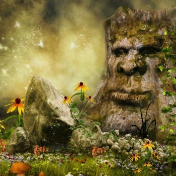 The Enchanted Forest