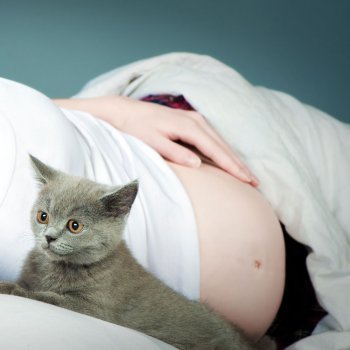 Riesgos de la toxoplasmosis durante el embarazo