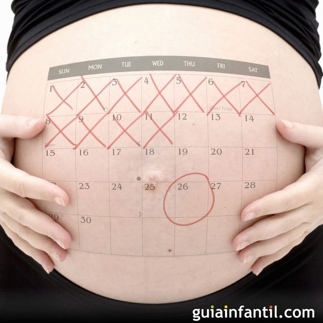 Preguntarse caja Comprometido Calculadora y calendario del embarazo