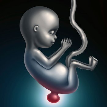 La espina bífida en el embarazo