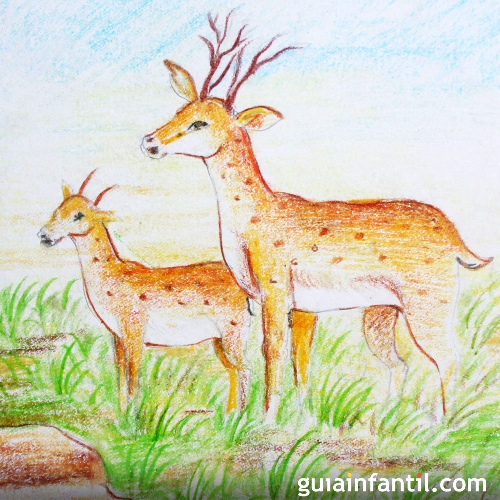 Bambi Cuento Infantil Tradicional
