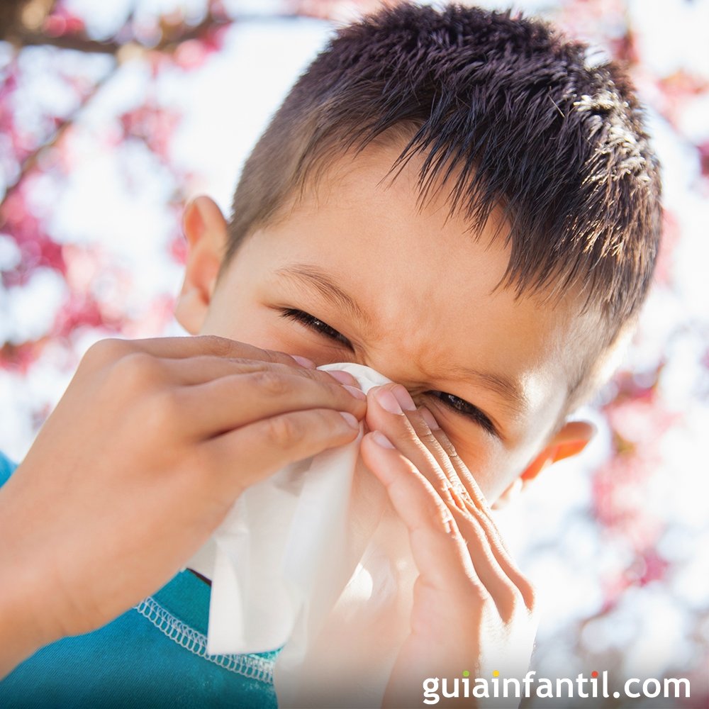 chico aliviar Megalópolis 10 remedios caseros para combatir la alergia al polen
