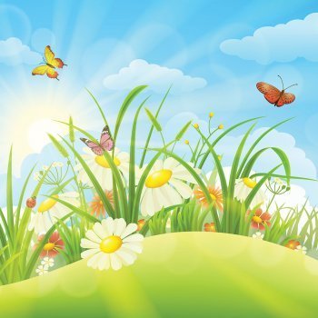 Mariposa de cuatro alas