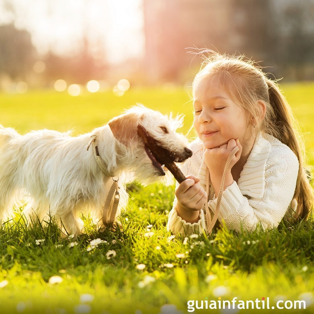 Acertijos De Animales Para Ninos