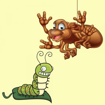 Gusano de seda y araña