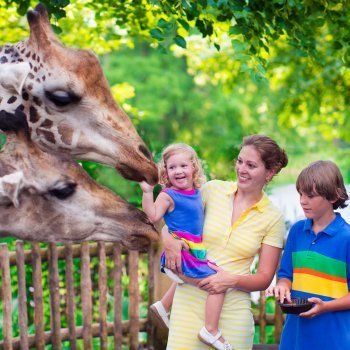 Vídeos de los animales favoritos de niños