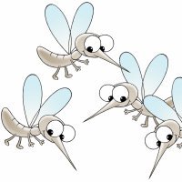 A gritos con los mosquitos. Cuento para niños