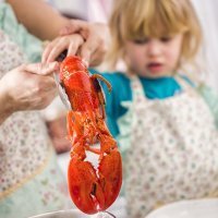 Beneficios y peligros del marisco para los niños