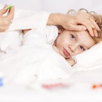 Qué enfermedades transmite la garrapata a los niños