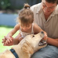 Cómo tratar la mordedura de un perro en los niños