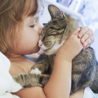 Cómo tratar las mordeduras de gato en los niños
