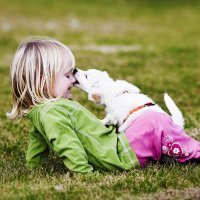 El contagio de la rabia en los niños