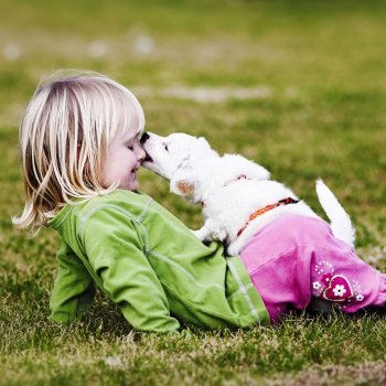 El contagio de la rabia