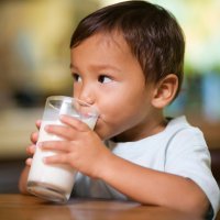 Leche de soja para niños: ventajas e inconvenientes