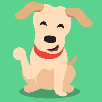 Hay un perrito