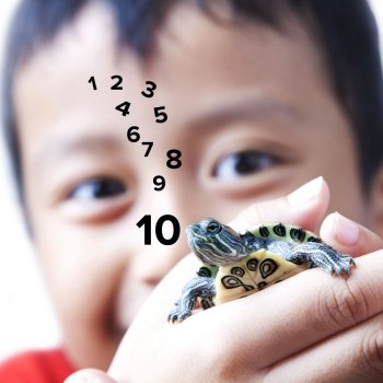 La técnica de la tortuga para controlar rabietas infantiles