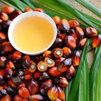 Cosas que debes saber sobre el aceite de palma