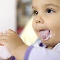 Yogures y otros postres lácteos, ¿cuáles son los más recomendables?