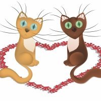 Los dos gatitos. Poema solidario para niños