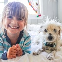 Cómo enseñar a tu hijo a cuidar de su mascota