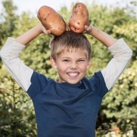 Por qué las patatas son esenciales en la dieta de los niños