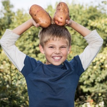 Por qué las patatas son esenciales en la dieta de los niños