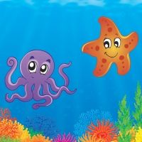 Estrella de mar. Cuento infantil sobre la aceptación personal