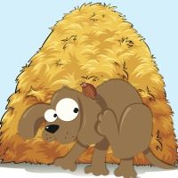 Simón y su pulga. Cuento infantil sobre la amistad