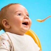 Purés tradicionales vs potitos comerciales para alimentar al bebé