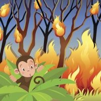 Un incendio en la selva. Cuentos infantiles sobre la cooperación