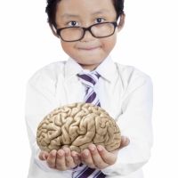 El estómago: el segundo cerebro en niños y adultos