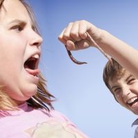 Miedo a los insectos en los niños