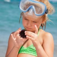 Picaduras en el mar a los niños, ¿cómo actuar en cada caso?