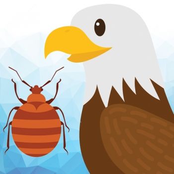 El águila y el escarabajo