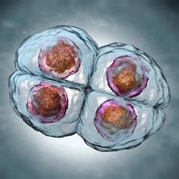 La reducción embrionaria en un embarazo múltiple