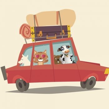 Rumbo a Algodor. Poemas divertidos para niños