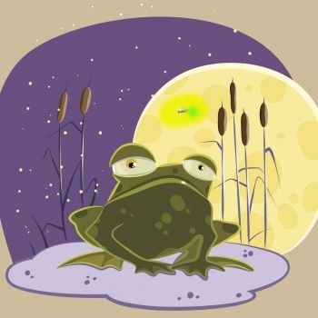 La luciérnaga y el sapo. Fábula corta para niños