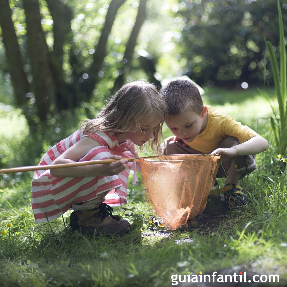 Errores de los niños en el contacto con la naturaleza