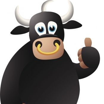 Un torito muy especial. Cuento infantil con palabras homófonas